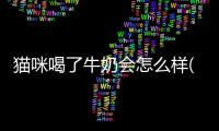 貓咪喝了牛奶會怎么樣(貓咪喝了牛奶會死嗎)