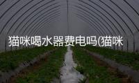 貓咪喝水器費電嗎(貓咪喝水器流動)