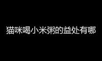 貓咪喝小米粥的益處有哪些？貓喝小米粥養(yǎng)胃嗎