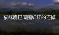 貓咪嘴巴周圍紅紅的還掉毛(貓咪嘴巴周圍紅紅的嚴重嗎)