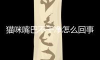 貓咪嘴巴不干凈怎么回事？貓咪嘴巴臟怎么辦