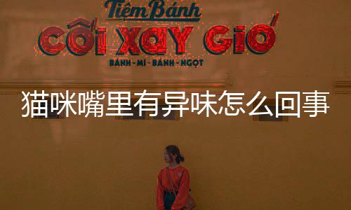 貓咪嘴里有異味怎么回事？貓咪嘴里有異味 怎么回事兒