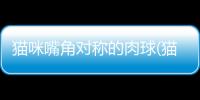 貓咪嘴角對稱的肉球(貓咪爪子上面的小肉球)