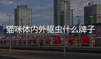 貓咪體內外驅蟲什么牌子好(貓咪體內驅蟲的正確方法)