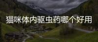貓咪體內(nèi)驅(qū)蟲(chóng)藥哪個(gè)好用？貓咪體內(nèi)驅(qū)蟲(chóng)藥用什么牌子好