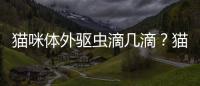 貓咪體外驅(qū)蟲滴幾滴？貓咪體外驅(qū)蟲滴幾滴藥