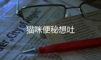 貓咪便秘想吐