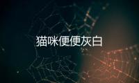貓咪便便灰白