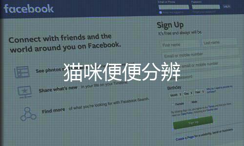 貓咪便便分辨