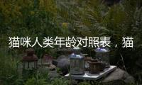 貓咪人類年齡對照表，貓咪人類年齡