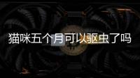 貓咪五個月可以驅蟲了嗎(貓咪五個月沒驅蟲會怎么樣)