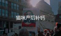 貓咪產后補鈣