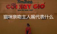 貓咪親吻主人嘴代表什么(貓咪喜歡親吻主人)