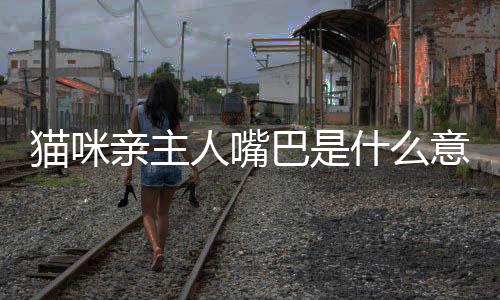 貓咪親主人嘴巴是什么意思(貓咪總是親主人嘴巴)
