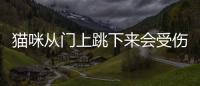 貓咪從門上跳下來會受傷嗎