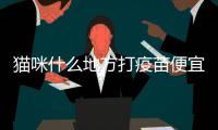 貓咪什么地方打疫苗便宜點？在什么地方給貓打疫苗