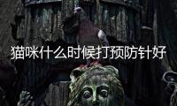 貓咪什么時候打預(yù)防針好(貓咪打預(yù)防針不良反應(yīng))