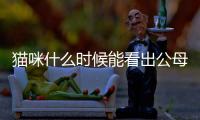 貓咪什么時候能看出公母啊？貓咪什么時候能看出來懷沒懷孕
