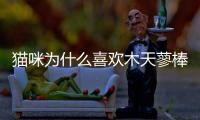 貓咪為什么喜歡木天蓼棒？貓為什么喜歡木天廖