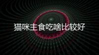 貓咪主食吃啥比較好
