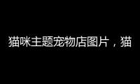 貓咪主題寵物店圖片，貓咪寵物店logo設(shè)計