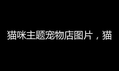 貓咪主題寵物店圖片，貓咪寵物店logo設(shè)計(jì)