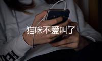 貓咪不愛叫了
