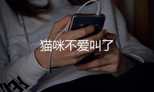 貓咪不愛叫了