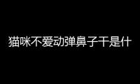 貓咪不愛(ài)動(dòng)彈鼻子干是什么病癥？貓咪不愛(ài)動(dòng)彈鼻子干是什么病呀