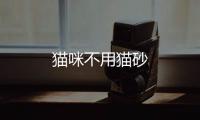 貓咪不用貓砂