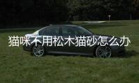 貓咪不用松木貓砂怎么辦？貓咪不用松木貓砂盆可以嗎