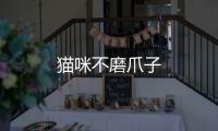 貓咪不磨爪子