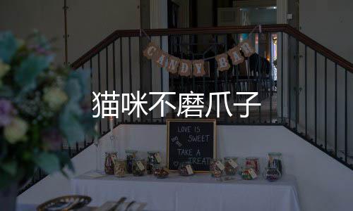 貓咪不磨爪子