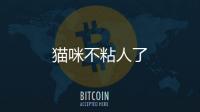 貓咪不粘人了
