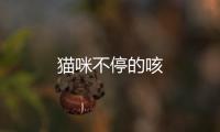 貓咪不停的咳