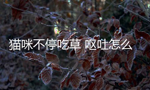 貓咪不停吃草 嘔吐怎么回事(貓咪不停吃草 嘔吐拉稀)