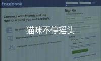 貓咪不停搖頭