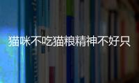 貓咪不吃貓糧精神不好只吃零食(貓咪不吃貓糧精神不好)
