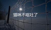 貓咪不嘔吐了