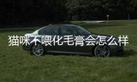 貓咪不喂化毛膏會怎么樣(貓咪不喂化毛膏會吐毛球嗎)