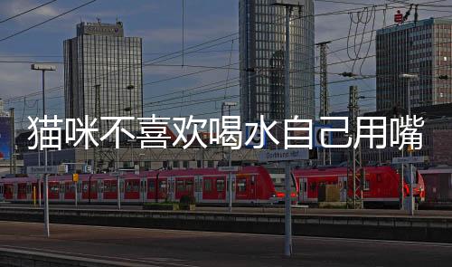 貓咪不喜歡喝水自己用嘴巴喂水可以嗎？貓咪不喜歡喝水自己用嘴巴喂水