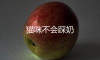 貓咪不會踩奶