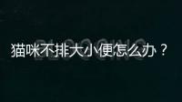 貓咪不排大小便怎么辦？貓咪不排大小便吃什么藥