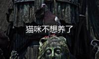 貓咪不想養了