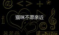 貓咪不愿親近