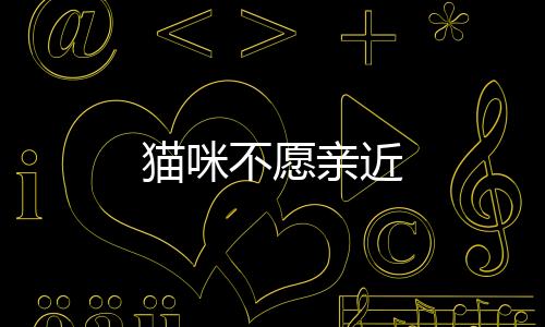 貓咪不愿親近