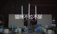 貓咪不拉不尿