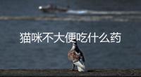 貓咪不大便吃什么藥