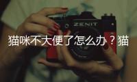 貓咪不大便了怎么辦？貓咪不大便怎么辦吃什么藥