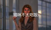 貓咪不太吃飯